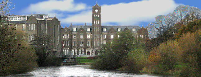 newbridge college